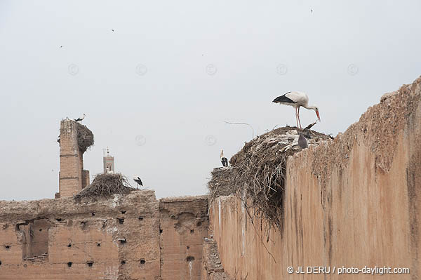 Marrakech